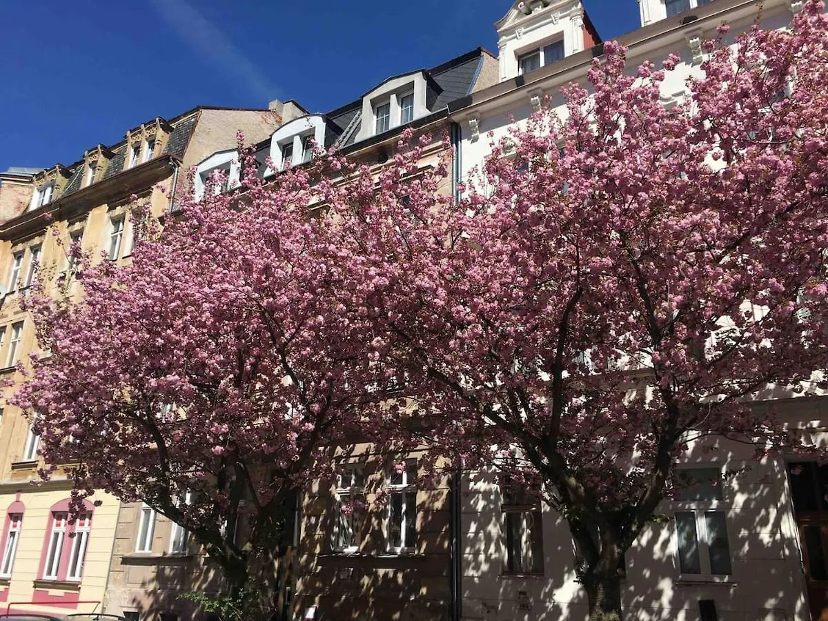 Apartmany Jizdarenska Karlsbad