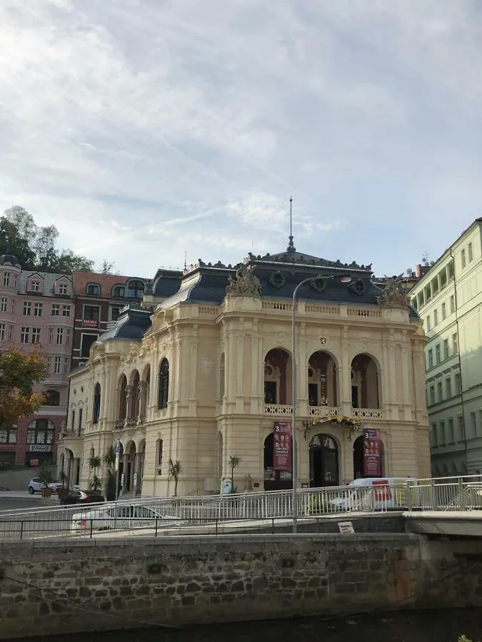 Apartment Ferienwohnung Apartman Orchidej U Vridla Karlsbad