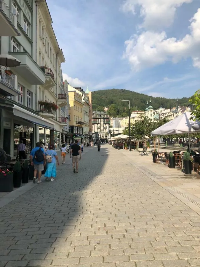 Ferienwohnung Apartman Orchidej U Vridla Karlsbad Tschechische Republik