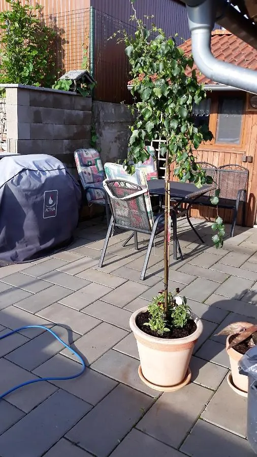 Ferienwohnung Apartman U Potoka Sadov Apartment