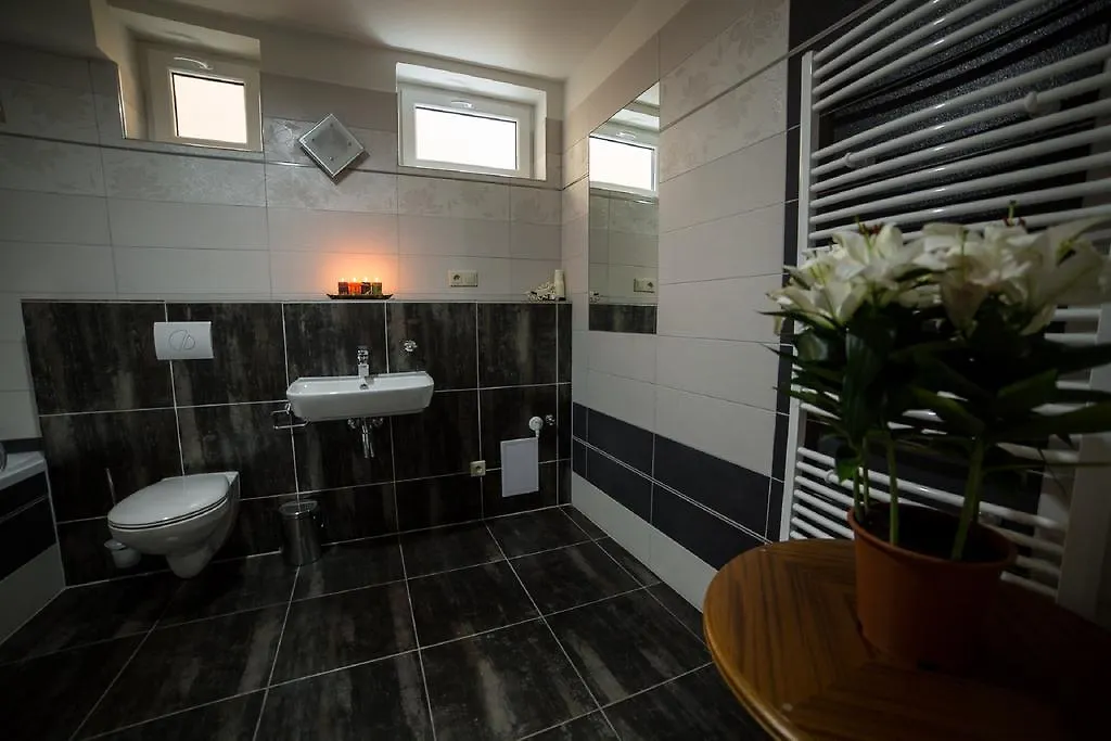Apartmány Amethyst Karlovy Vary Česká republika