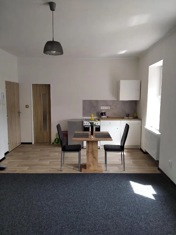 Apartmany Borska Karlovy Vary Apartment