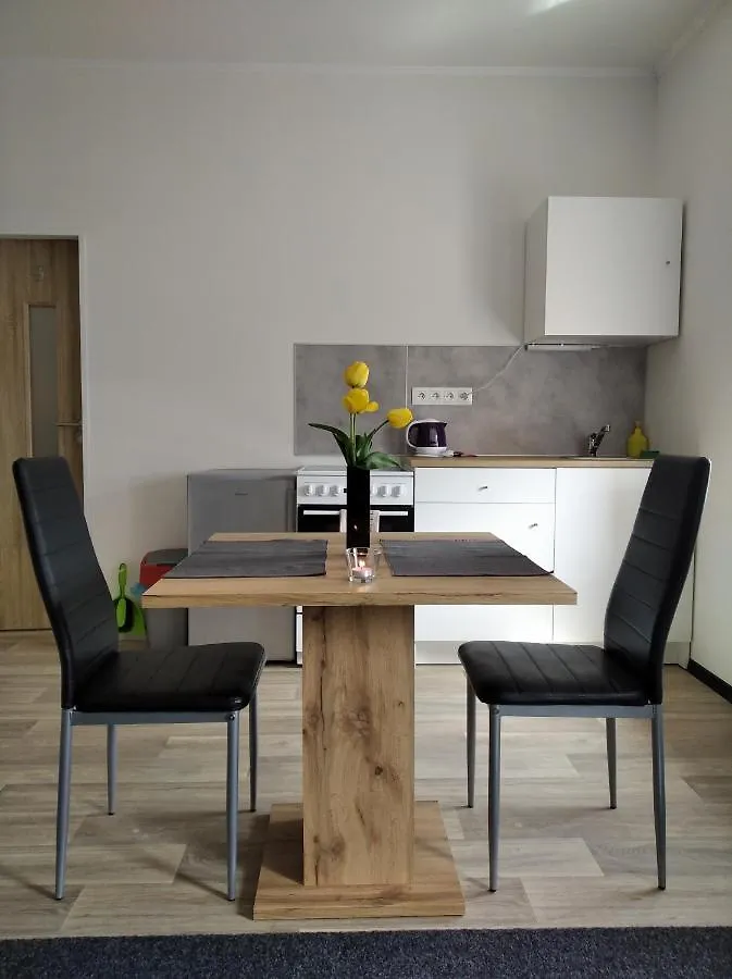 Apartment Apartmany Borska Karlovy Vary