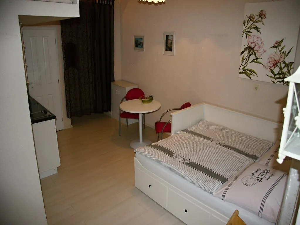 Apartment Helena Karlovy Vary 0*,  Tschechische Republik