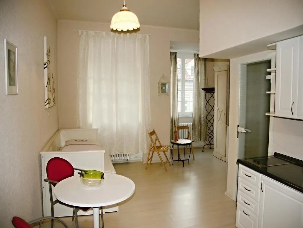 Apartment Helena Karlovy Vary