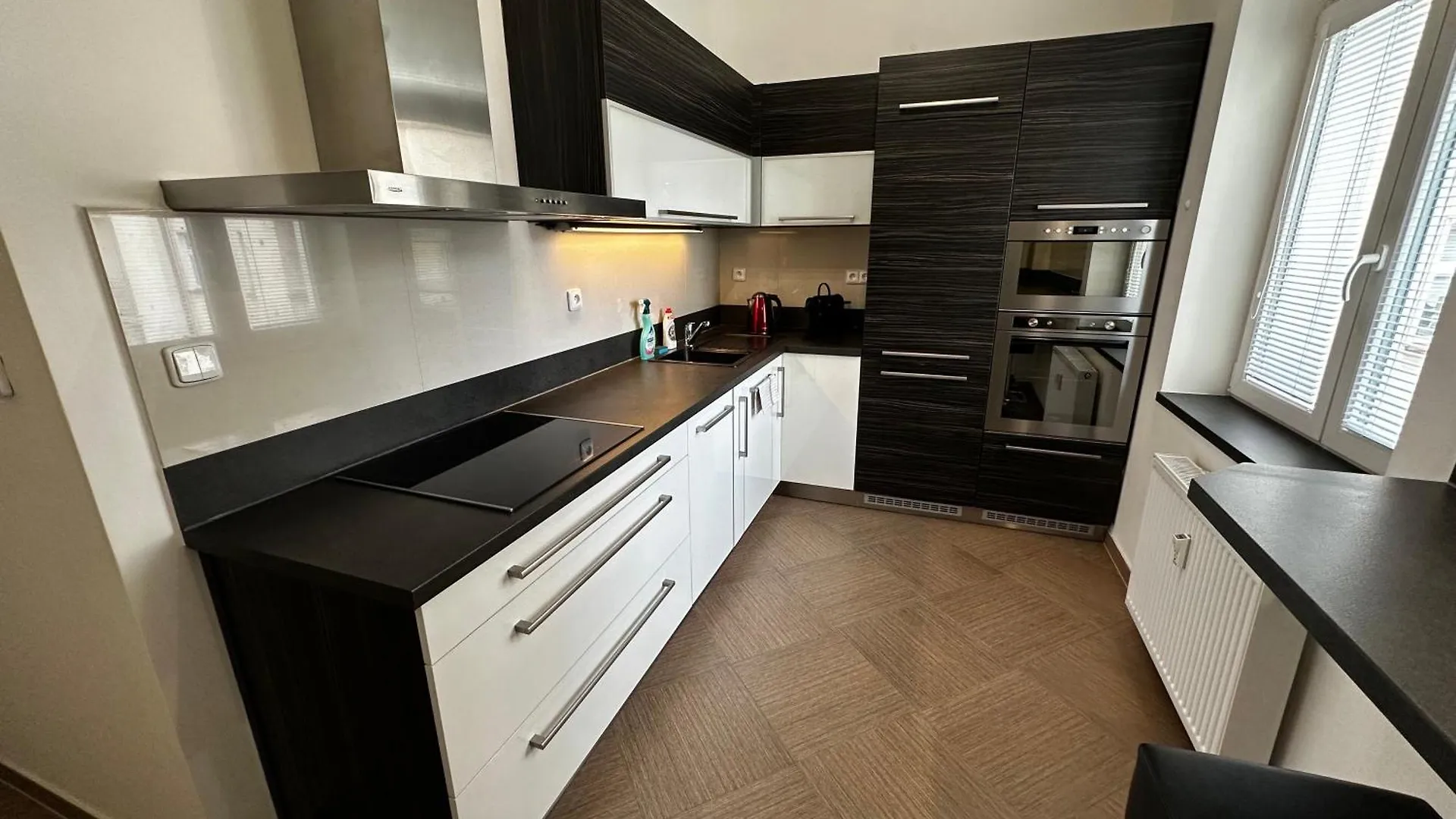 Apartment Karla Capka Street