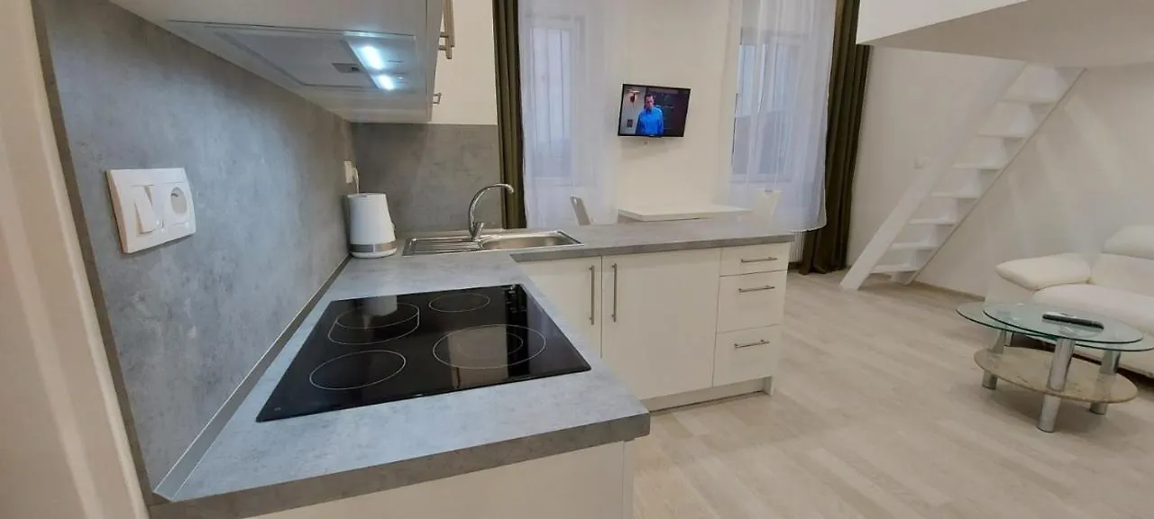 Apartment Krale Jiriho Карловы Вары