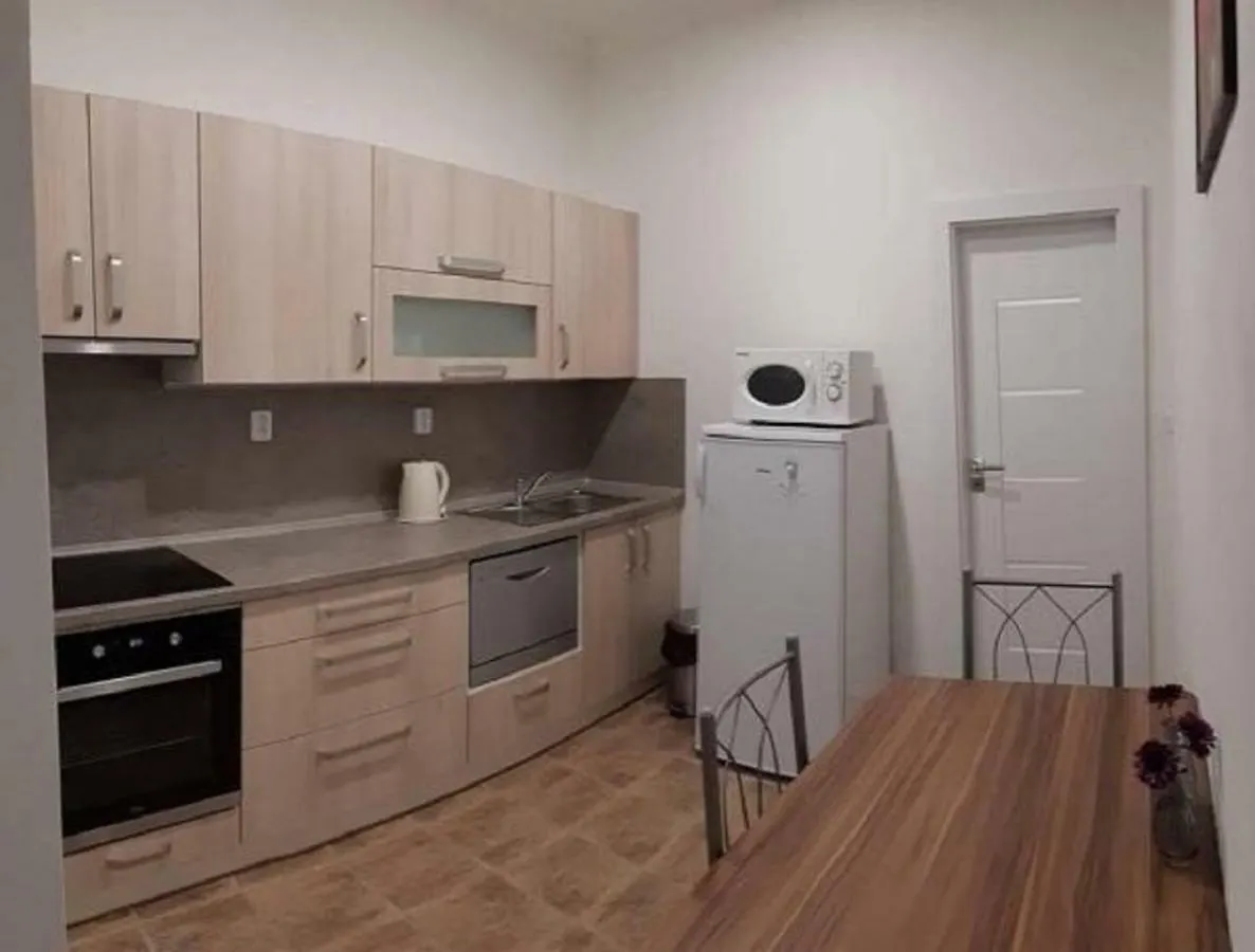 Apartment Krale Jiriho Карловы Вары Чехия