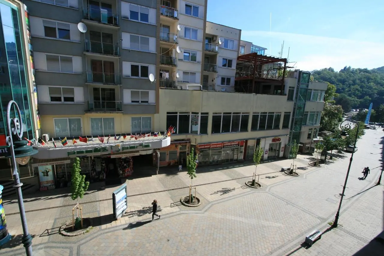 Apartment No. 25 T.G.Masaryka 13 S Vytahem Karlsbad