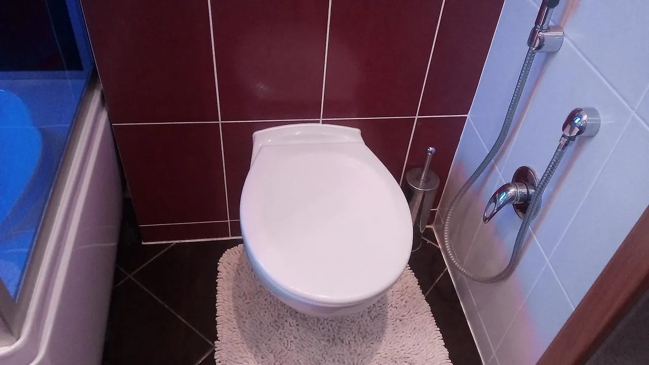 Apartment Superior With Sauna Karlsbad