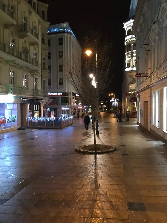 Apartments Karlovy Vary Central