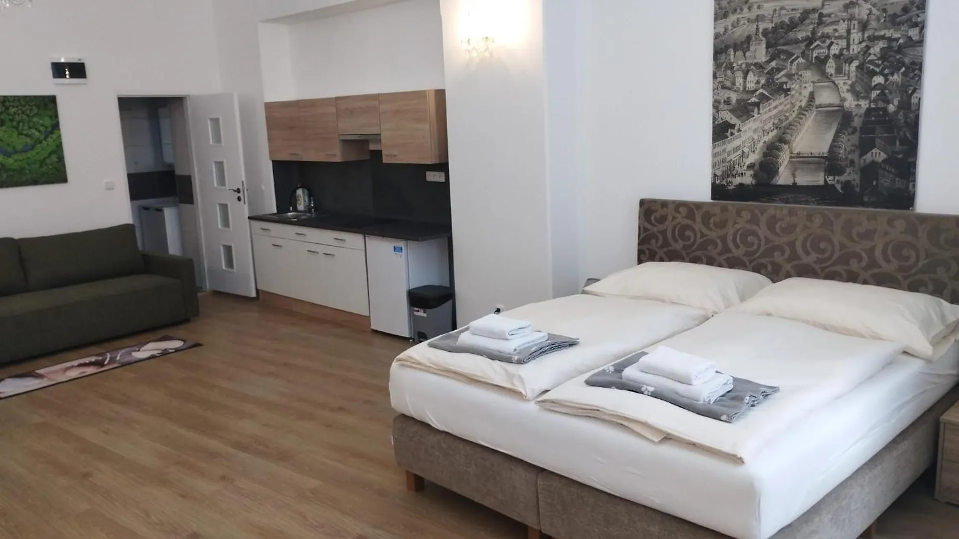 Apartments Paderewski Карловы Вары