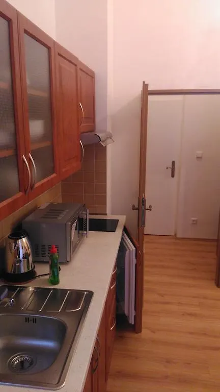 Apartments Paderewski Карловы Вары