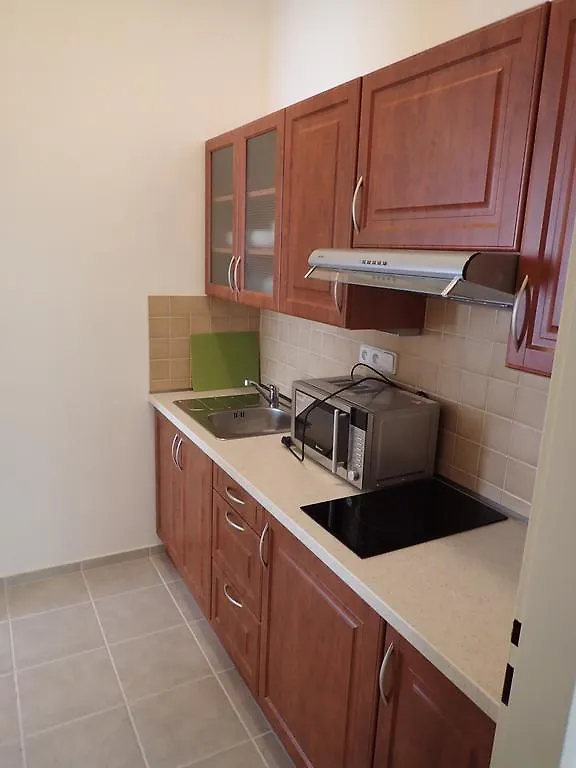 Apartments Paderewski Карловы Вары