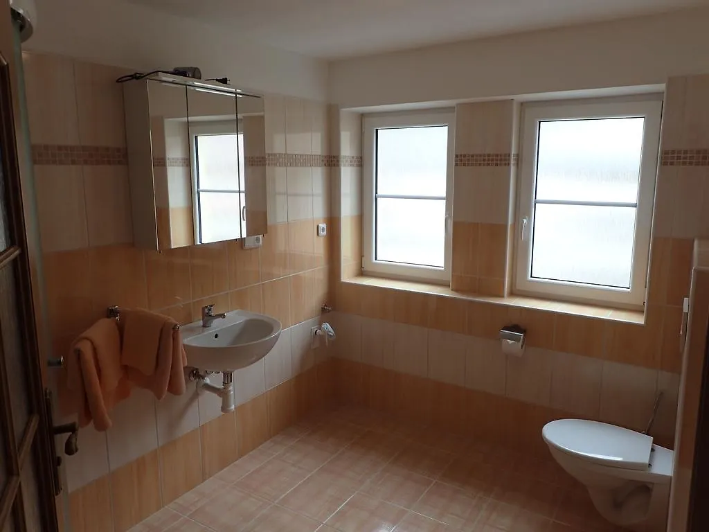 Apartments Paderewski Карловы Вары