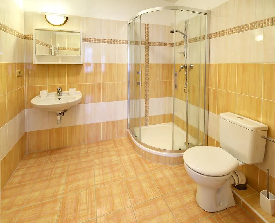 Apartments Paderewski Карловы Вары 0*,  Чехия