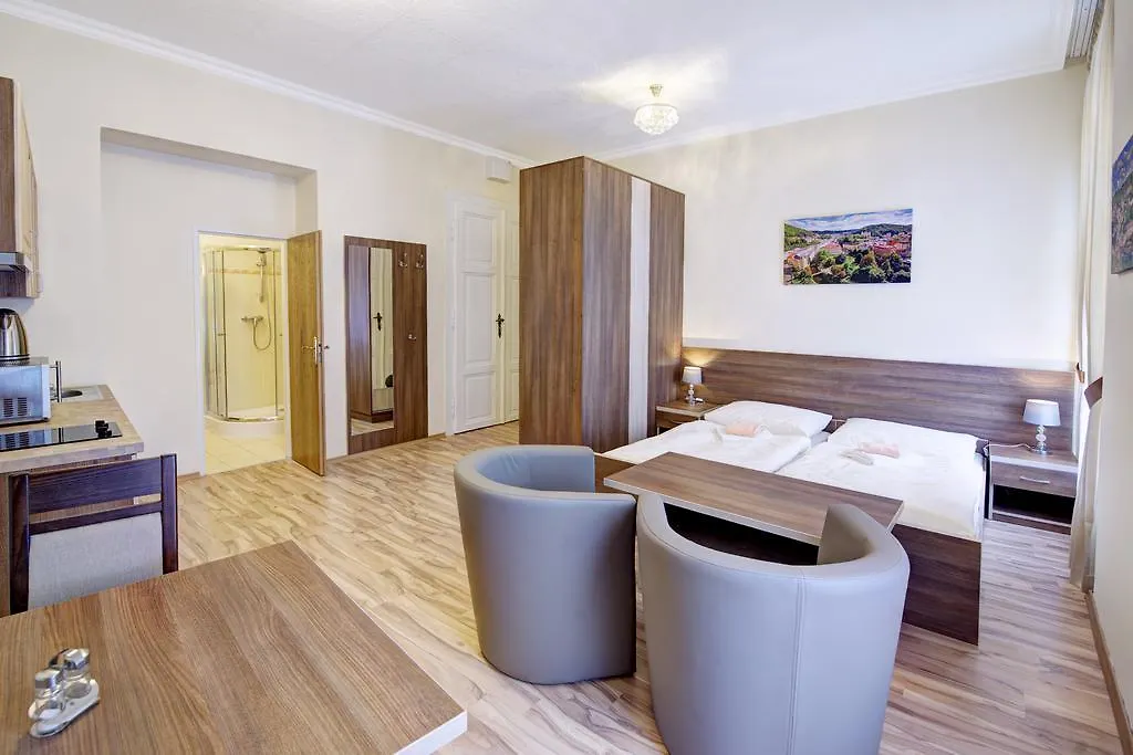 Apartments Paderewski Карловы Вары 0*,