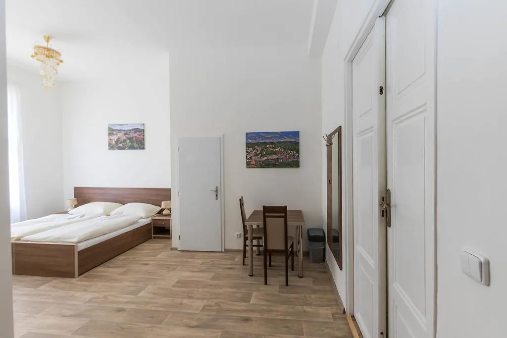 Apartments Paderewski Карловы Вары