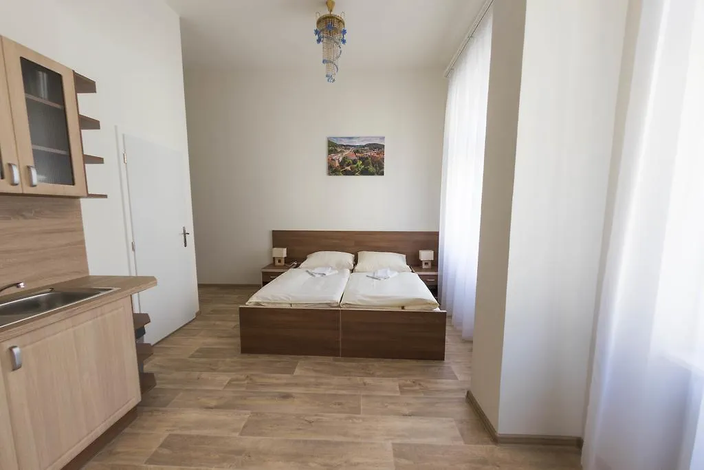 Apartments Paderewski Карловы Вары