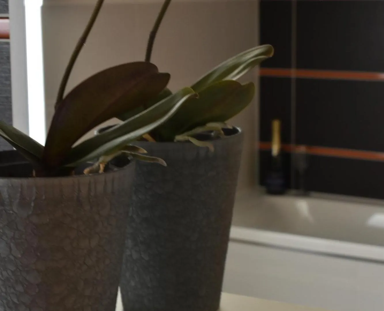 Apartments Verona Karlovy Vary