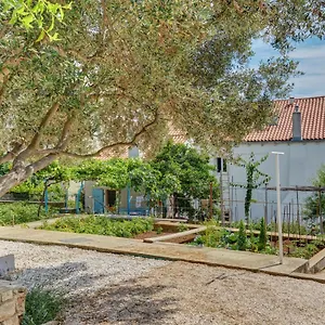 Dami Mali Lošinj