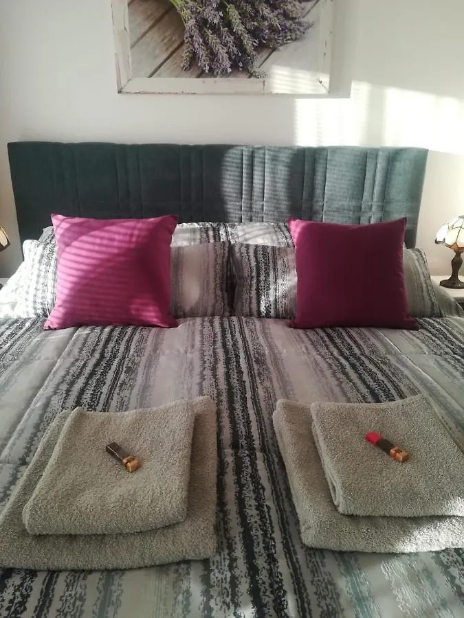 B&B Violet Karlsbad Frühstückspension