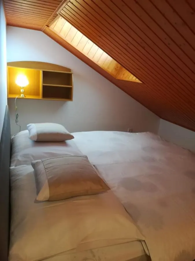 B&B Violet Karlsbad