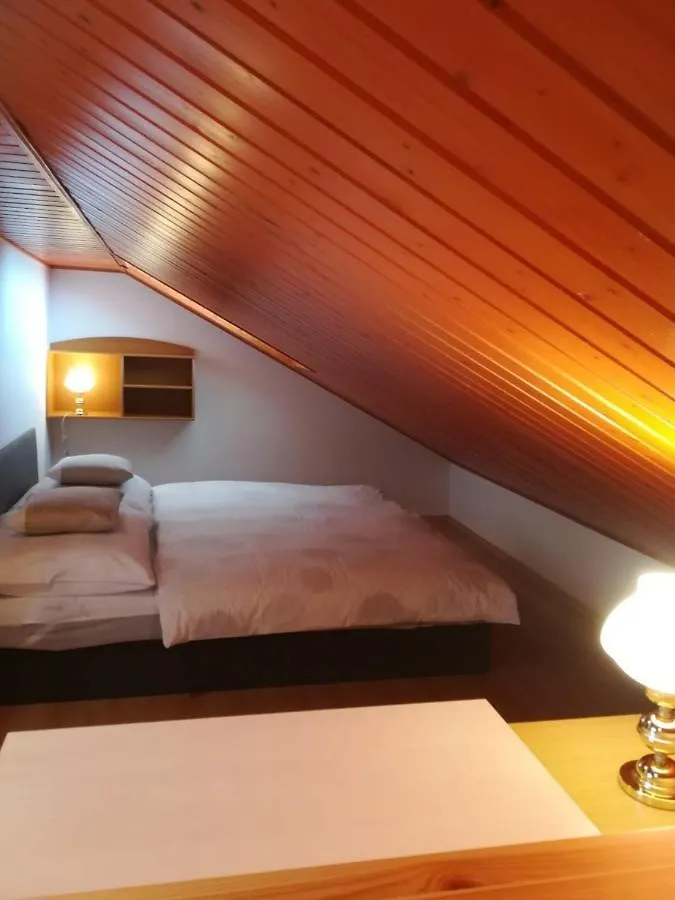 Frühstückspension B&B Violet Karlsbad