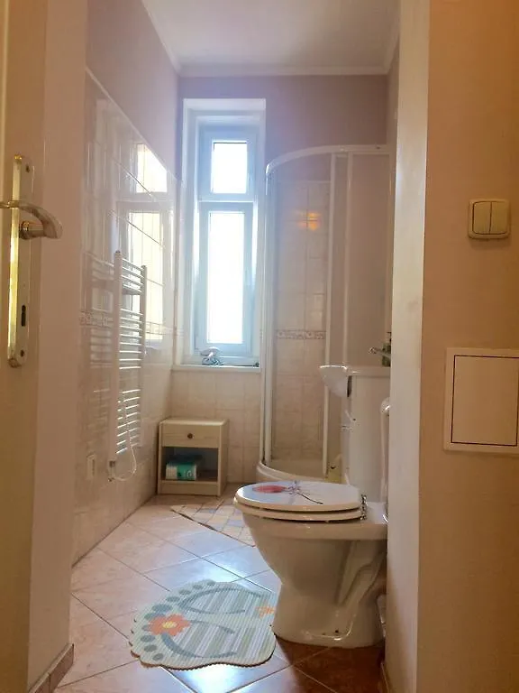 Апартаменты Blue Rose Apartman Карловы Вары 0*,