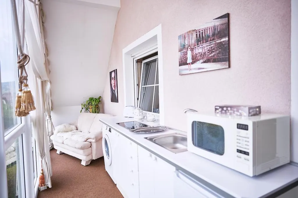 Bluestars Apartments Karlowe Wary Pensjonat