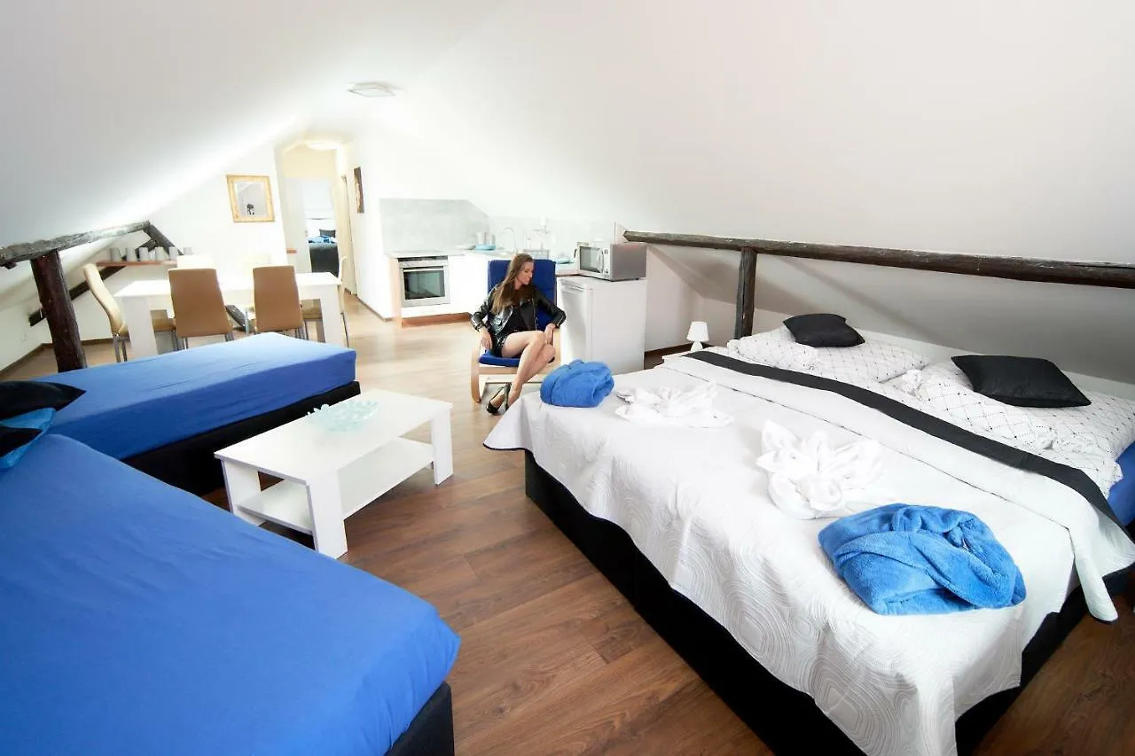 Bluestars Family Apartment Karlovy Vary