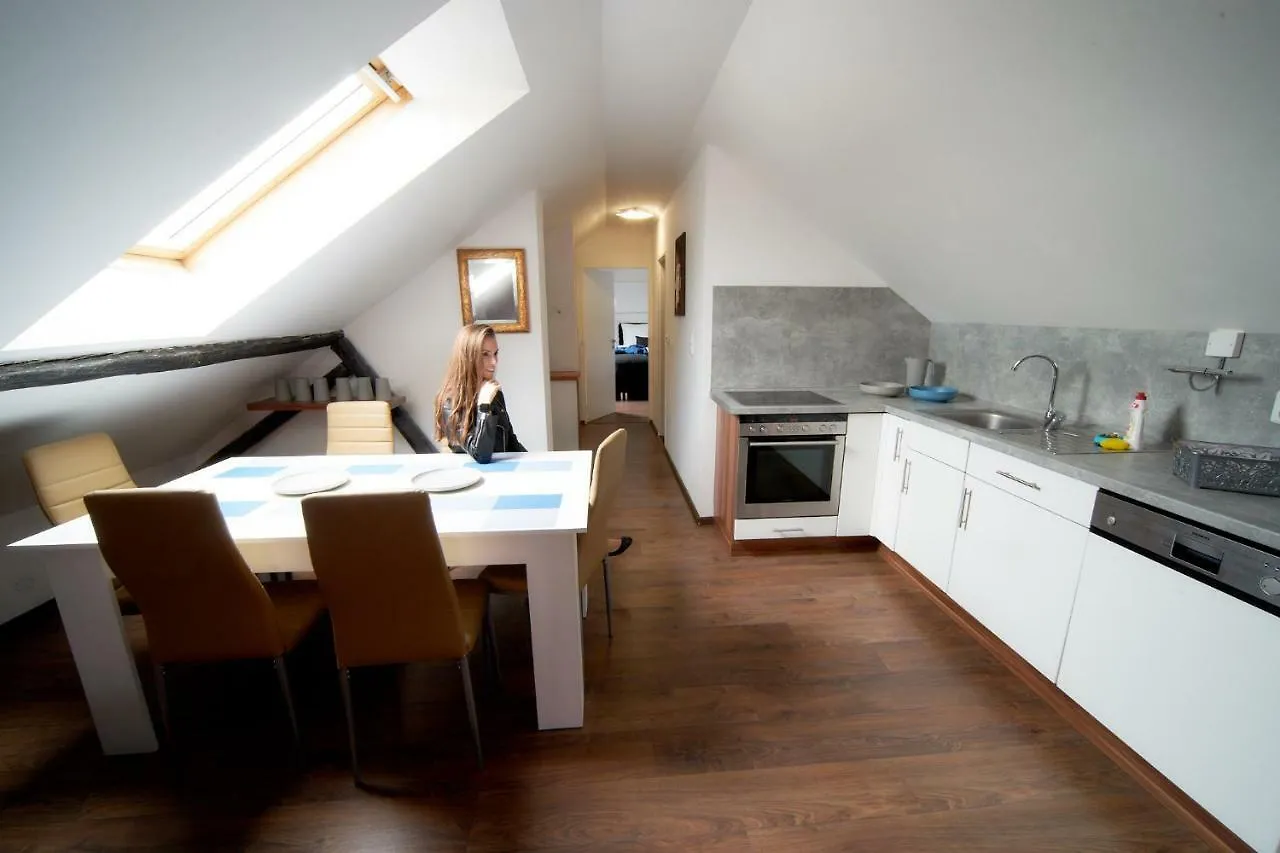 Bluestars Family Apartment Karlovy Vary