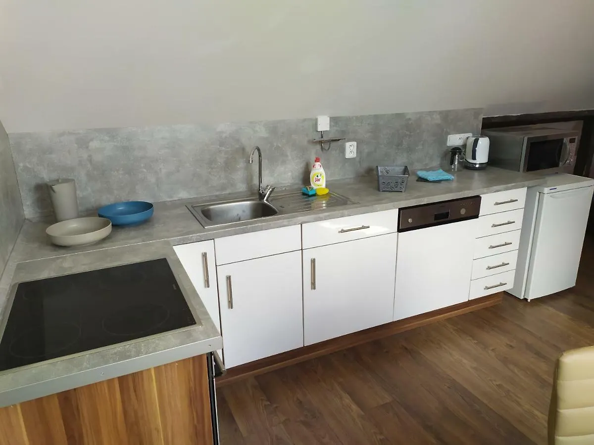Bluestars Family Apartment Karlovy Vary