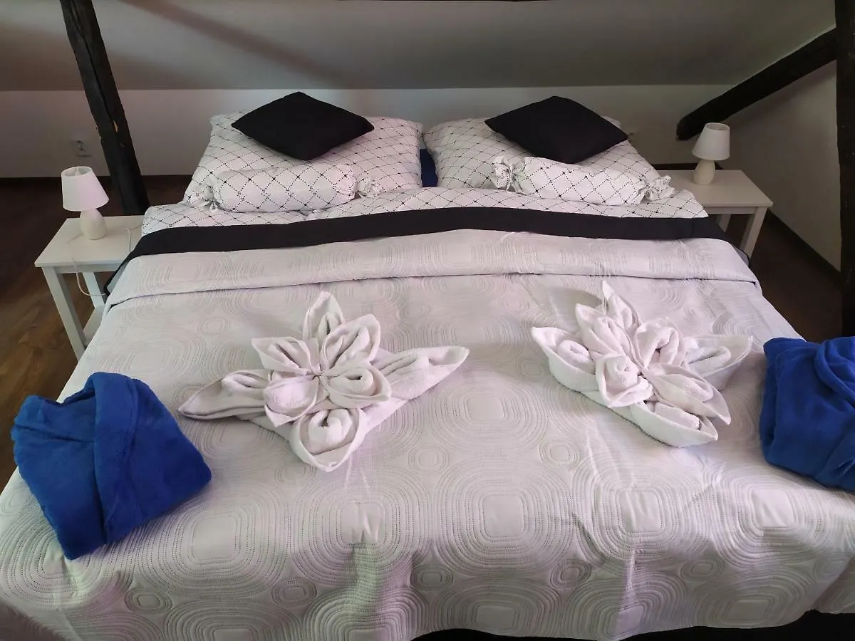 Bluestars Family Apartment Karlovy Vary Czech Republic