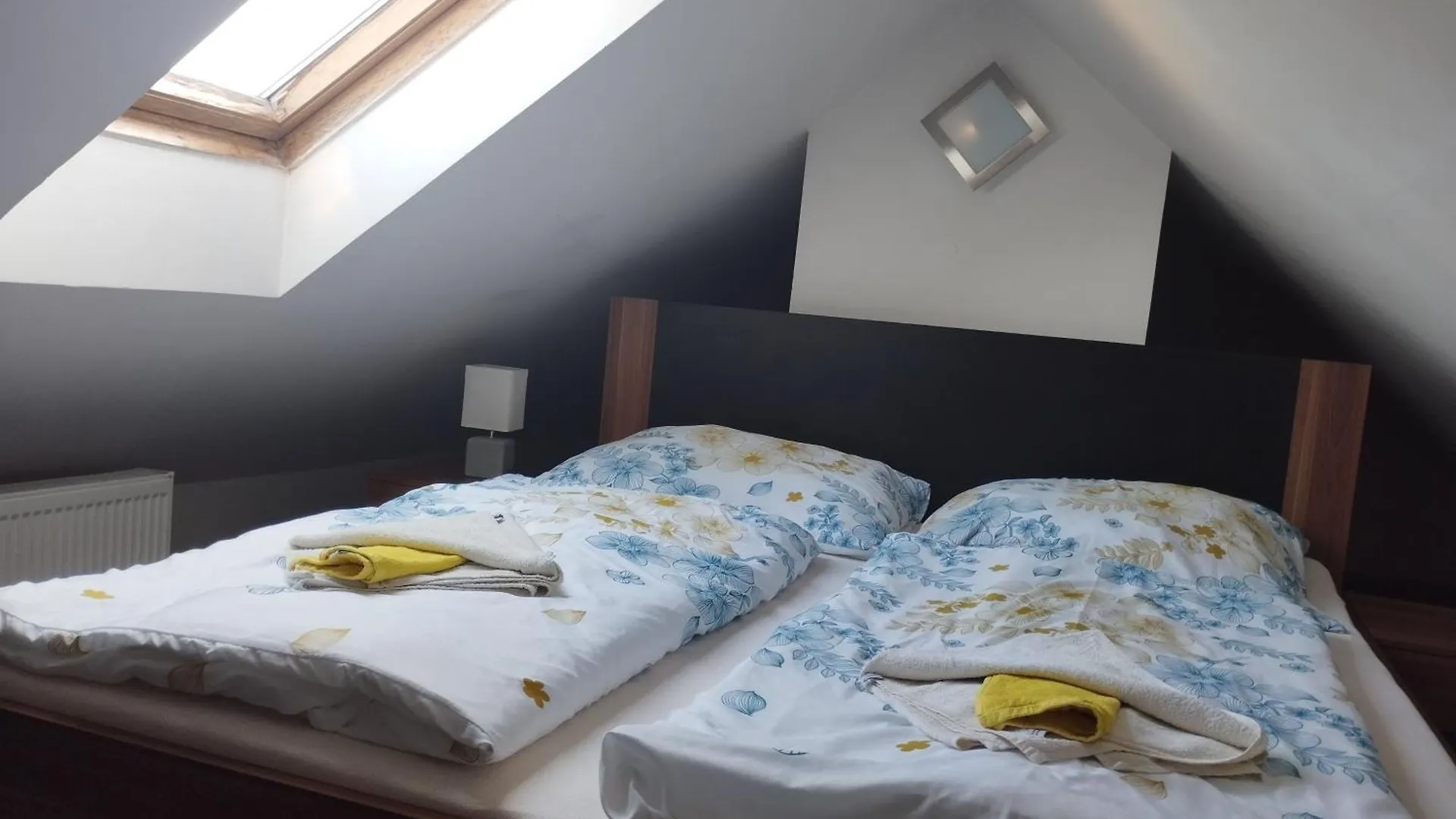 Bluestars Home Карловы Вары