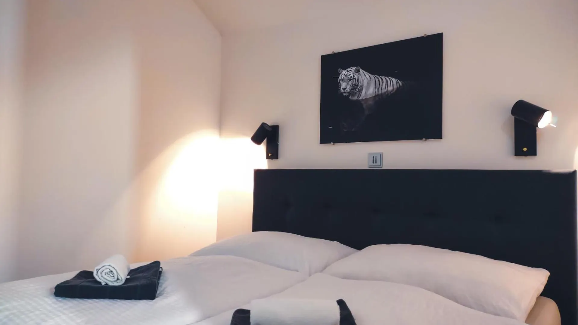 Boutique Apartment Owned By Emperor Peter The Great With 2 Balconies & Jacuzzi Karlsbad