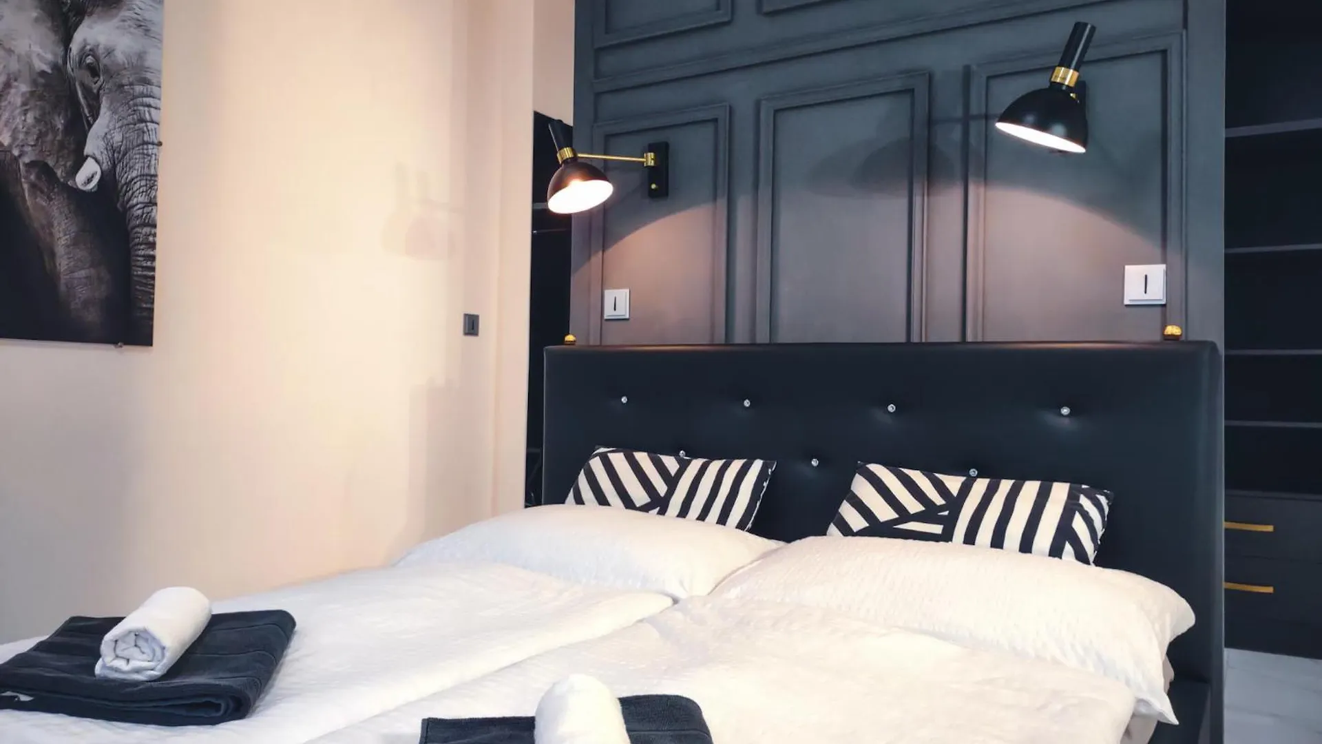 Boutique Apartment Owned By Emperor Peter The Great With 2 Balconies & Jacuzzi Karlsbad