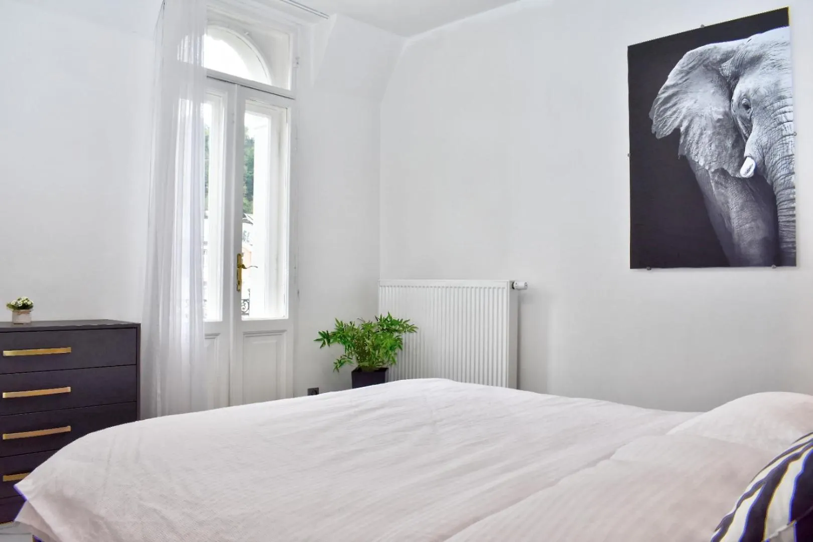 Boutique Apartment Owned By Emperor Peter The Great With 2 Balconies & Jacuzzi Karlsbad