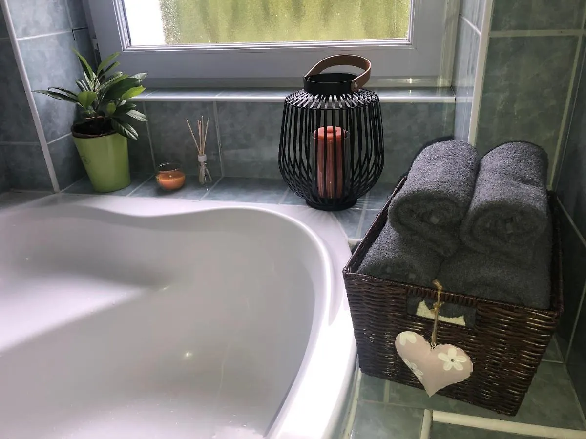 Apartament Byt S Krasnou Vyhlidkou Na Hotel Imperial Karlowe Wary