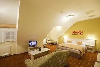 ****  Spa Hotel Cajkovskij Karlowe Wary Czechy