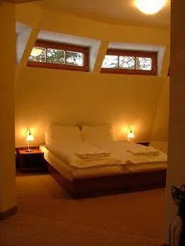 Hotel Veitsberg-Vitkova Hora Karlsbad