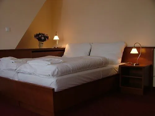 Hotel Veitsberg-Vitkova Hora Karlsbad 3*,