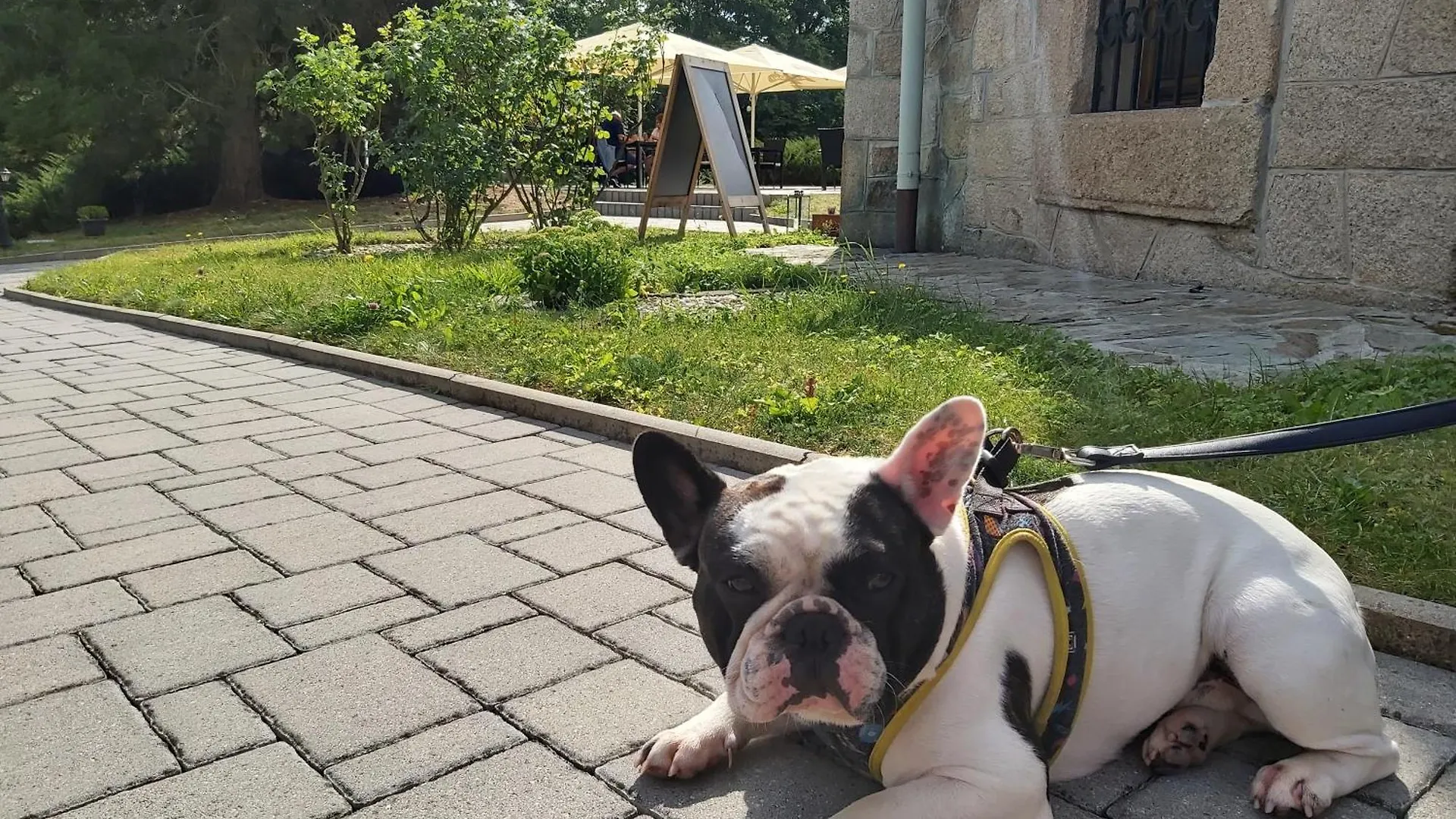 Hotel Chateau Cihelny Karlsbad