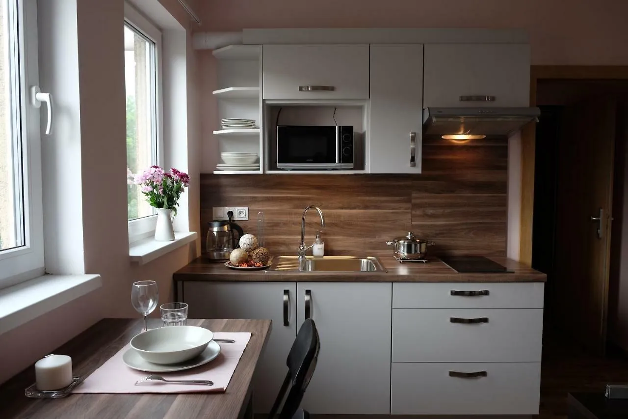 Diana Apartments Karlovy Vary 0*,