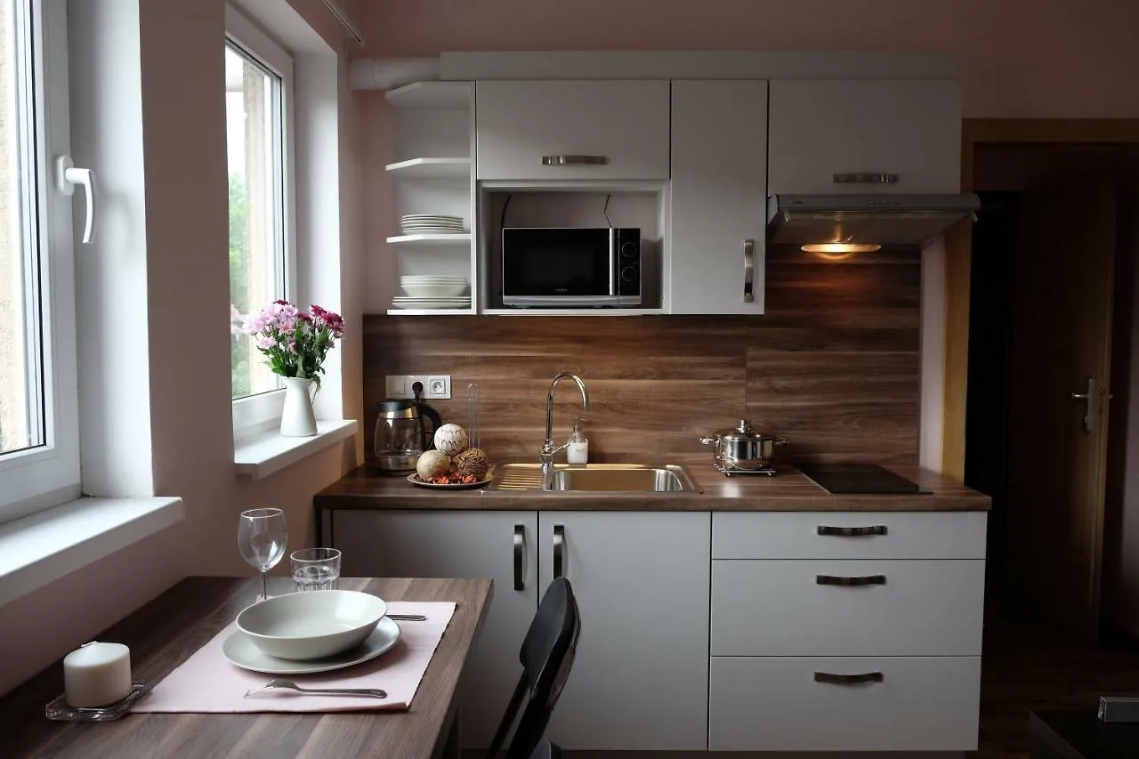Diana Apartments Karlovy Vary 0*,