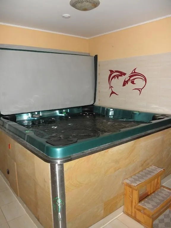 ***  Ehila Guest House Karlovy Vary Чехия