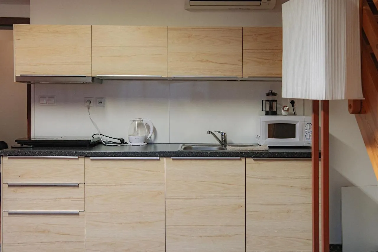 Excellent Apartments In Karlovy Vary