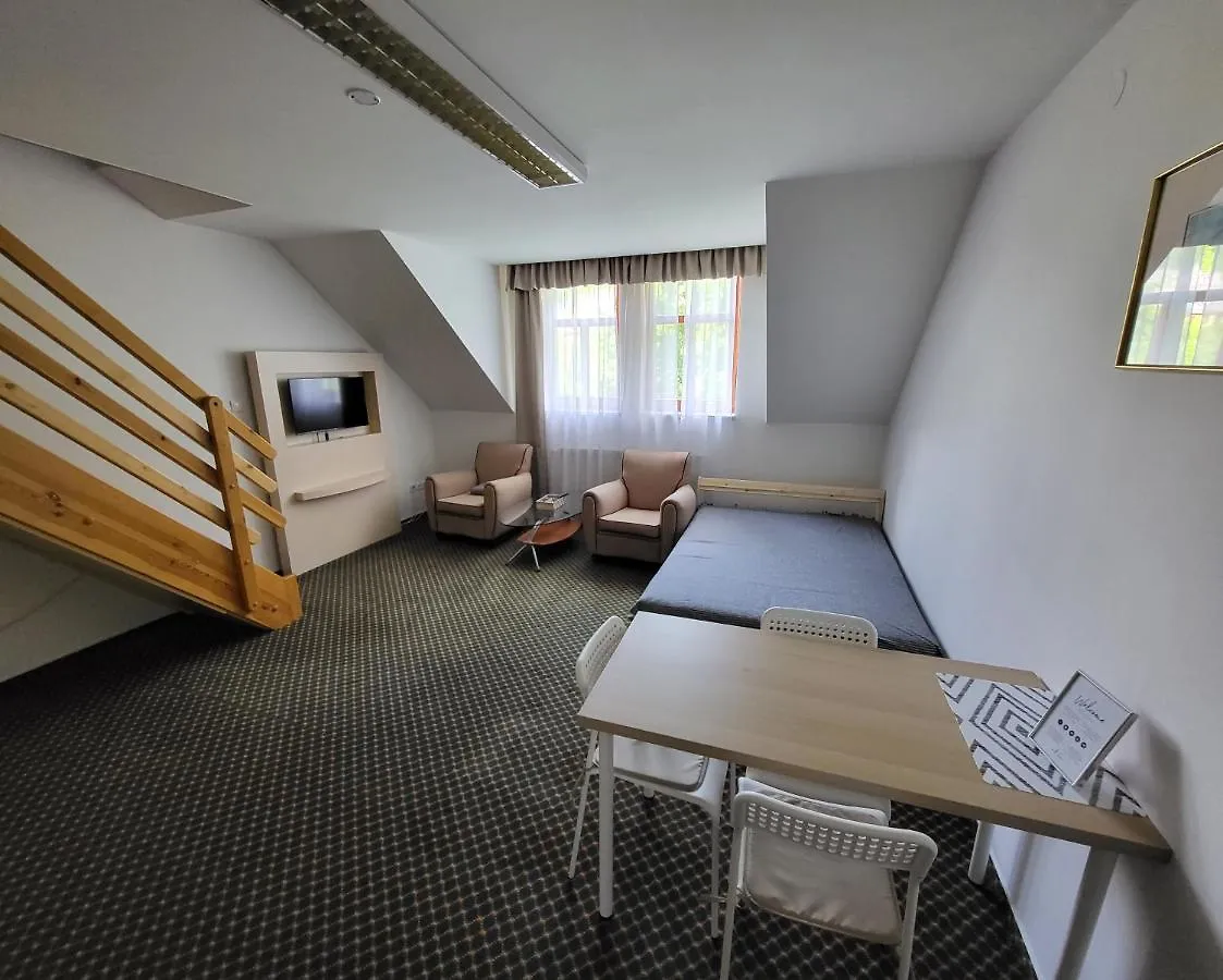Excellent Apartments In Karlovy Vary