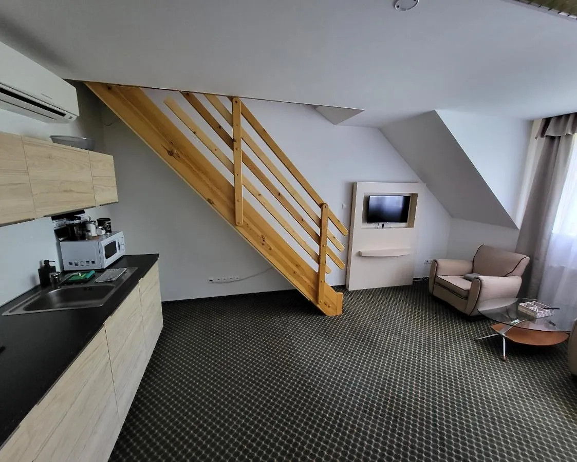 Excellent Apartments In Karlovy Vary
