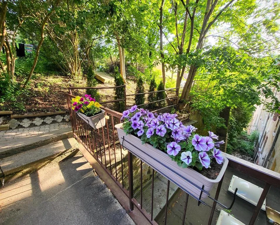 Excellent Apartments In Karlovy Vary
